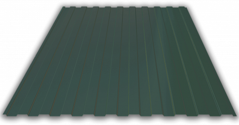 Профнастил С-8 ral 6005